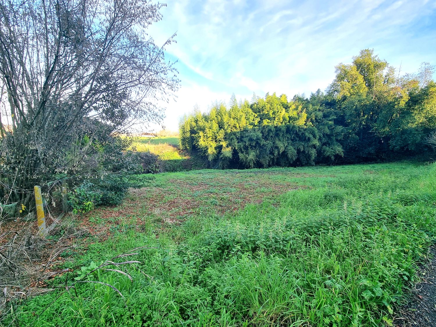 Agence immobilière de A2M Immobilier Côte Basque