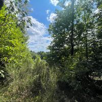 photo du bien