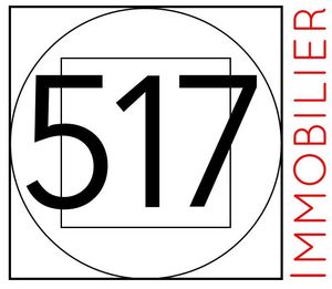 517 Immobilier