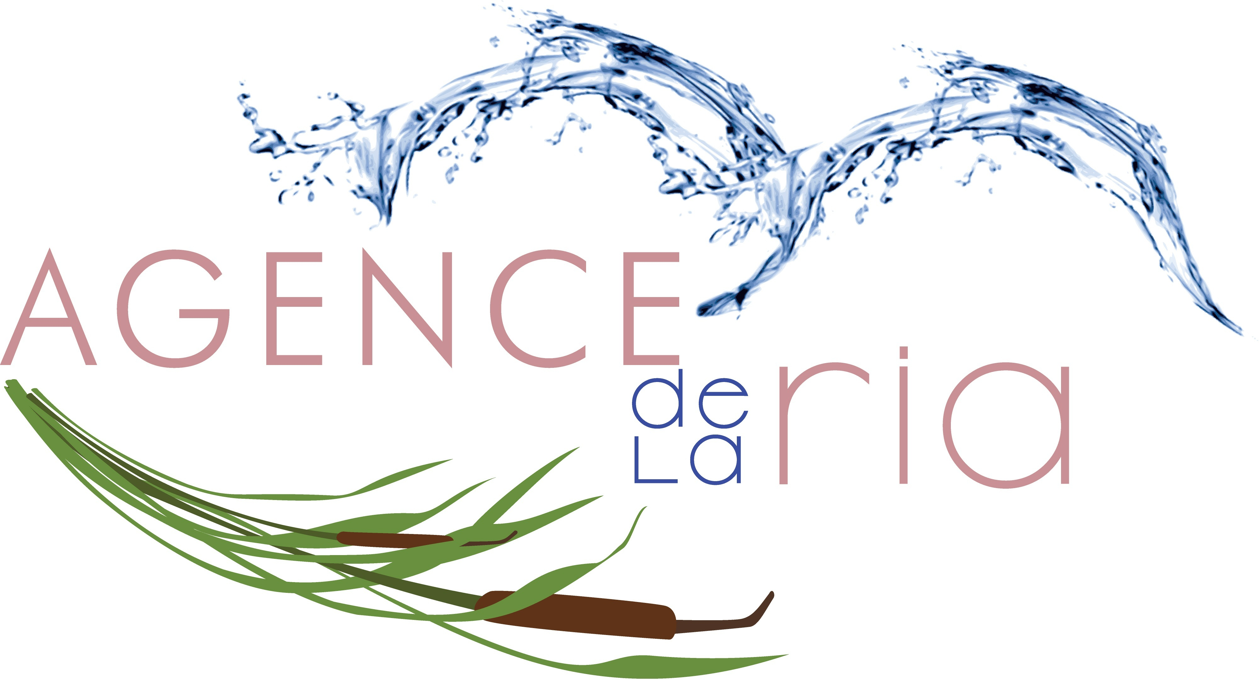 AGENCE DE LA RIA