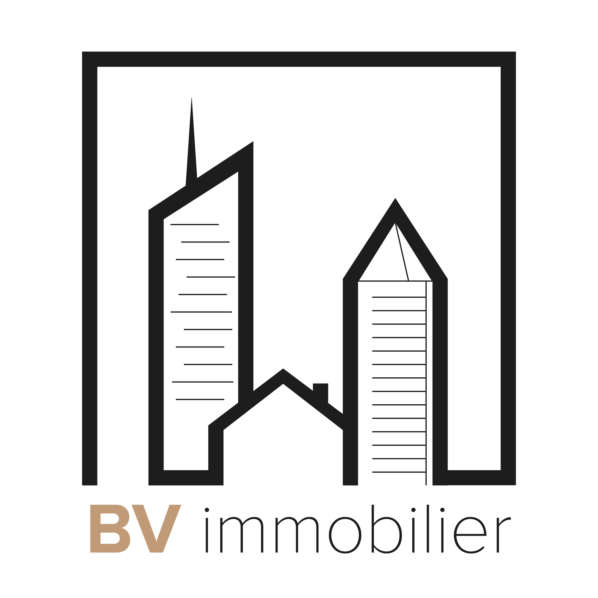 BV Immobilier