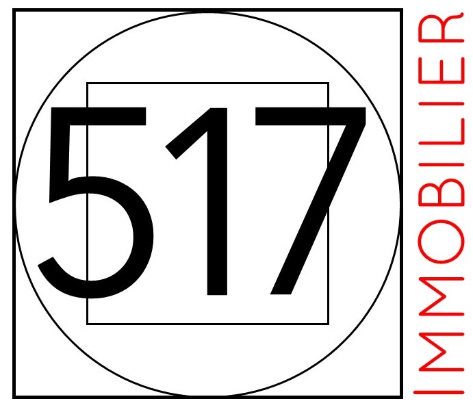517 Immobilier