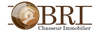 BR IMMOBILIERE