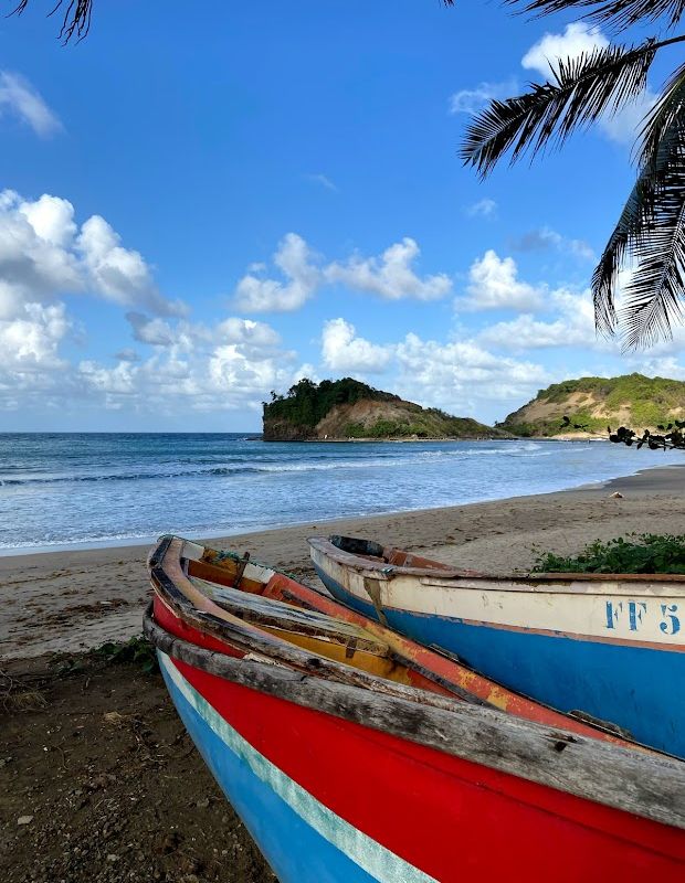 FONCIER CARAIBEEN