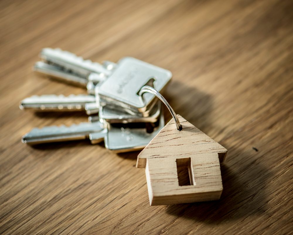 Vicinia Immobilier